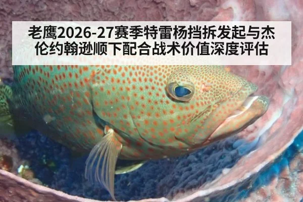老鹰2026-27赛季特雷杨挡拆发起与杰伦约翰逊顺下配合战术价值深度评估